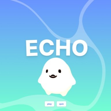 Echo Project